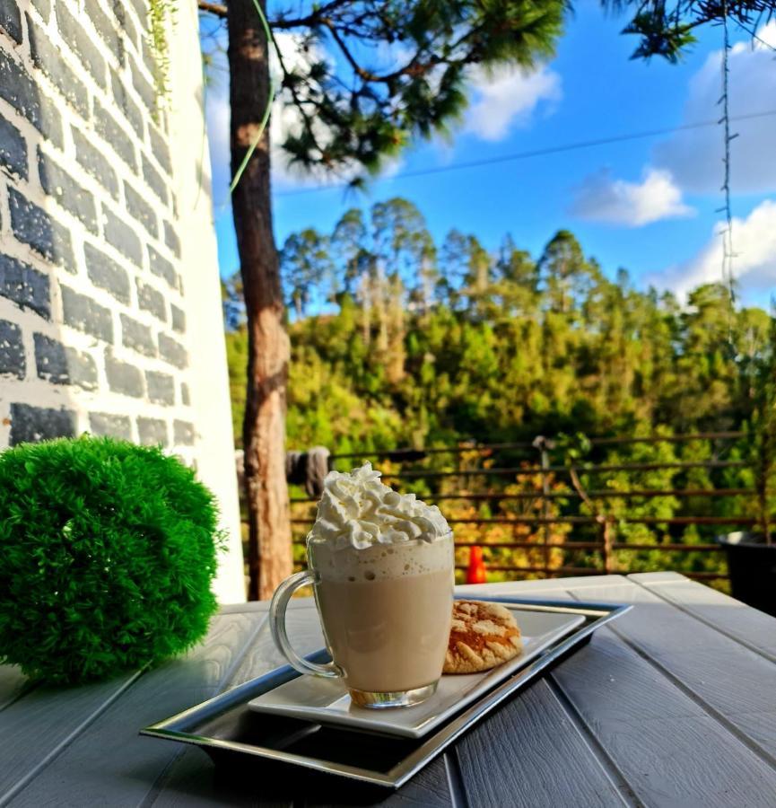 Vita Mountain Lodge Santa Lucia Zewnętrze zdjęcie